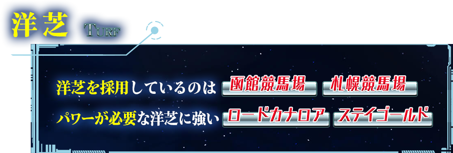 洋芝