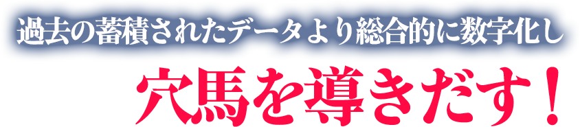 過去の蓄積されたデータより総合的に数字化し穴馬を導き出す！